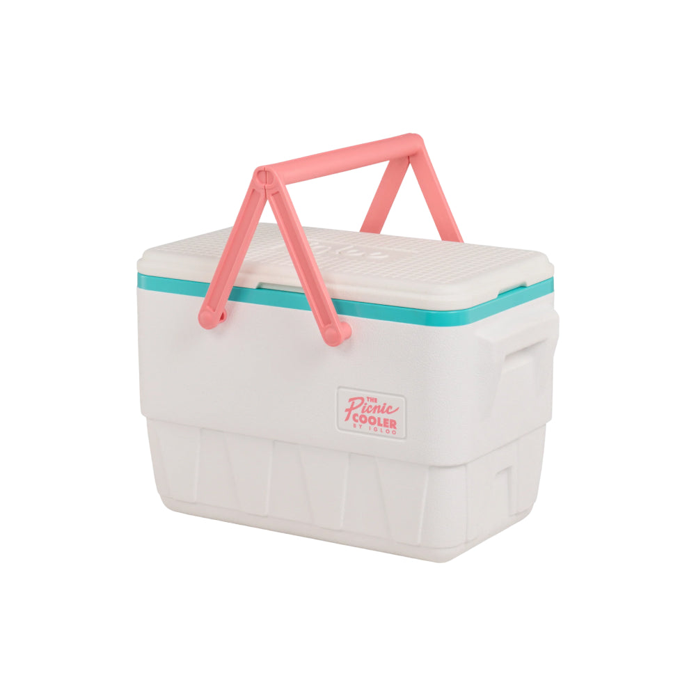 Picnic Retro - 24 Litros