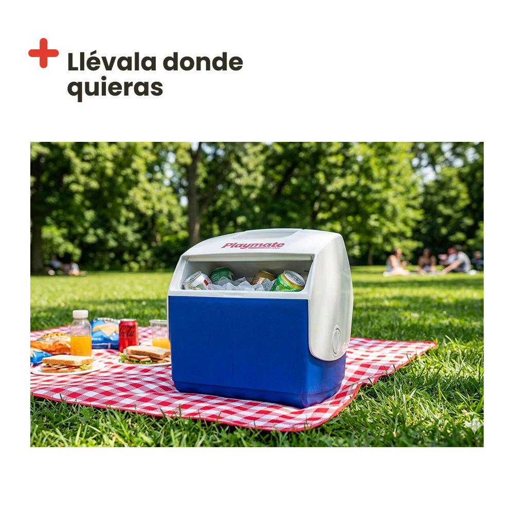 Nevera Portátil IGLOO PLAYMATE PAL Azul, 6 litros