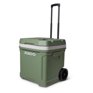 Nevera Portatil con Ruedas Igloo 60